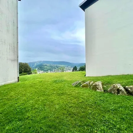 Joli Cosy, Vue Magnifique Et Terrasse Privee Gerardmer
