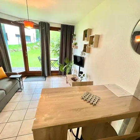 Joli Cosy, Vue Magnifique Et Terrasse Privee Apartment Gerardmer