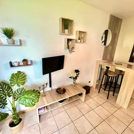 Joli Cosy, Vue Magnifique Et Terrasse Privée