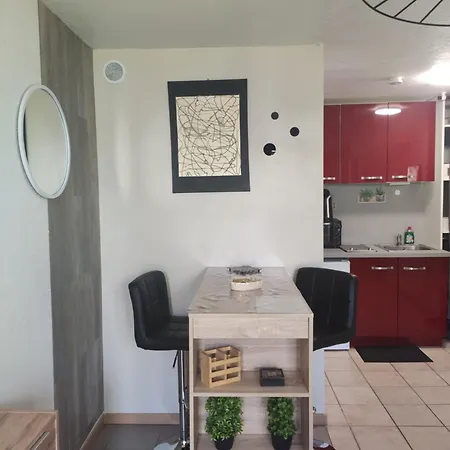 Joli Cosy, Vue Magnifique Et Terrasse Privee Gérardmer